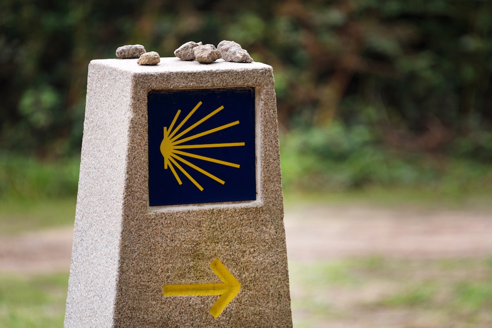 yellow-scallop-shell-touristic-symbol-camino-de-santiago-showing-direction-camino-norte-spain